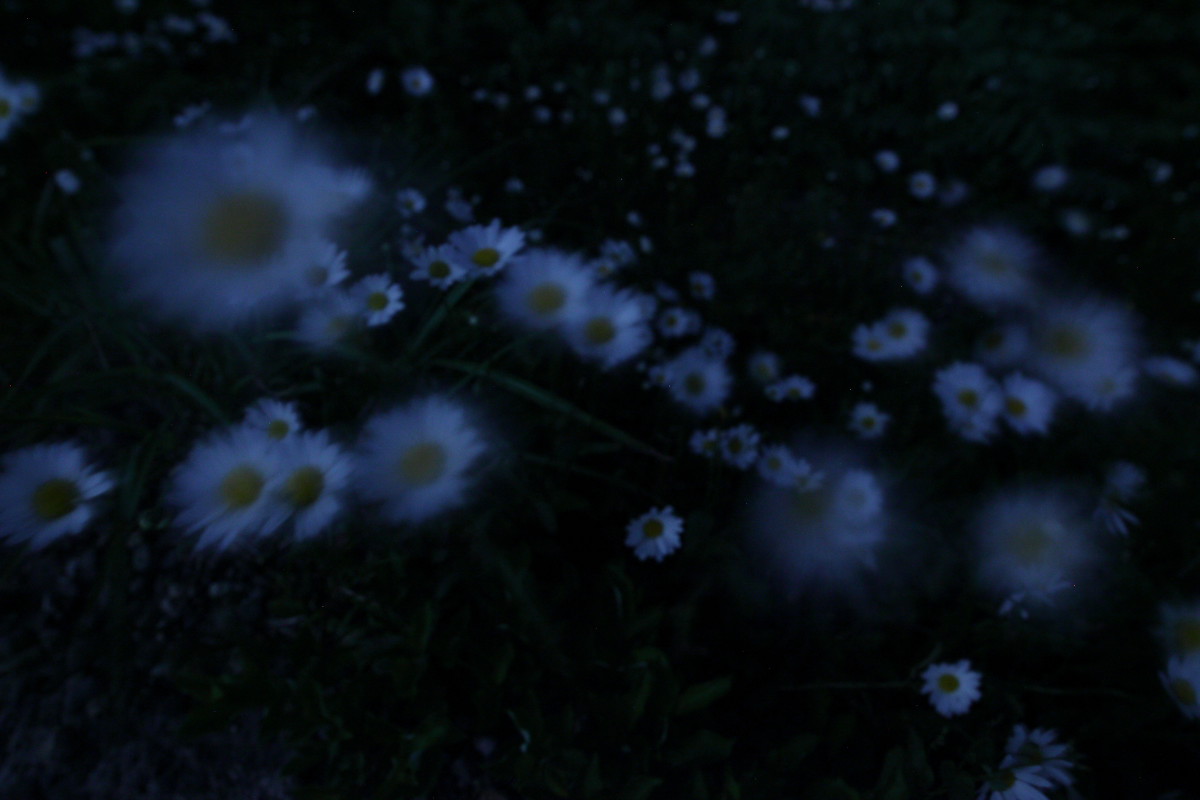 月光_b0191074_354827.jpg