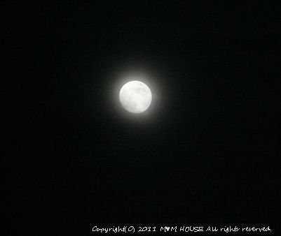 c0139375_16573621.jpg