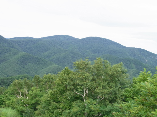 今日登った銭函天狗山から見た昨日登った春香山_f0130376_16485938.jpg