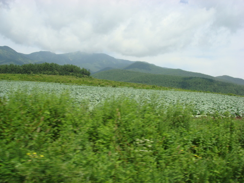 d0042380_20585977.jpg