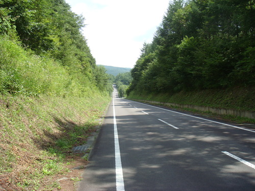 d0042380_210253.jpg