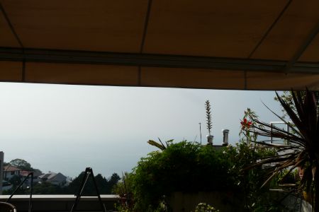 2011年8月14日 なにもしないということ・・_b0098584_902445.jpg