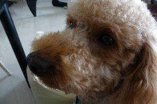 2011年8月14日 なにもしないということ・・_b0098584_905320.jpg