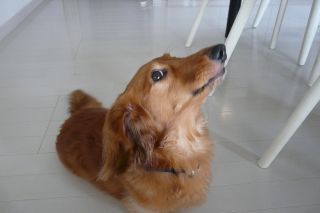 2011年8月14日 なにもしないということ・・_b0098584_921538.jpg