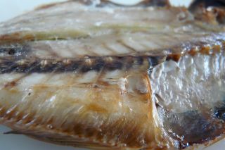 2011年8月14日 なにもしないということ・・_b0098584_923476.jpg