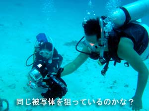 有言実行!カメGET!_f0144385_2325121.jpg