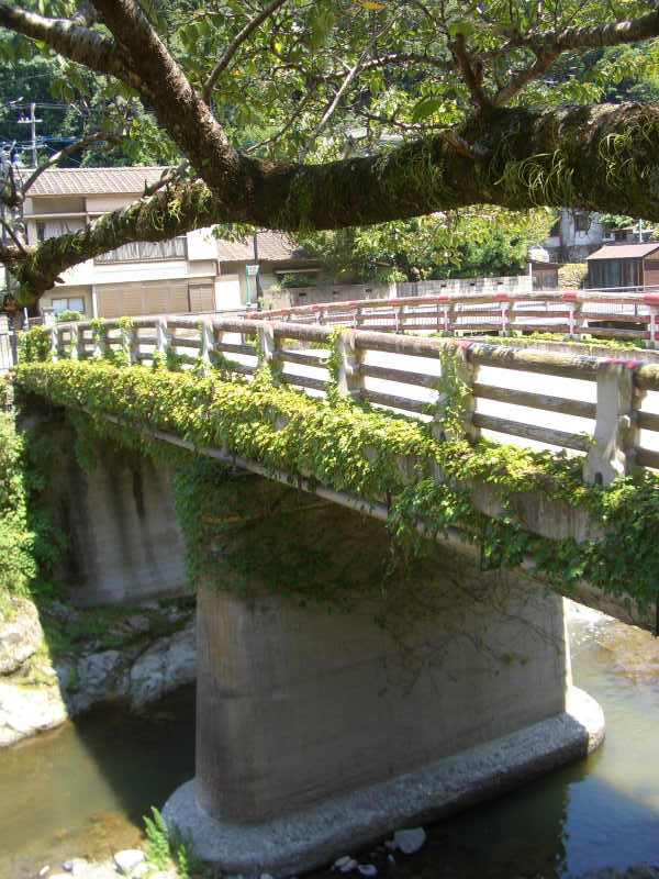 c0099086_12433977.jpg