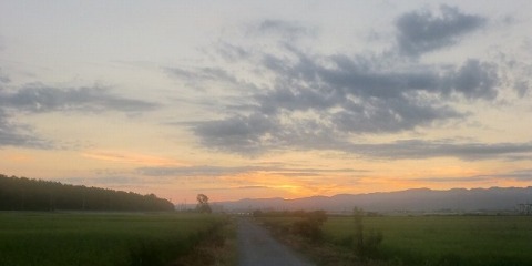 田舎のランニング　８月14日（日）　ＲＵＮ：17㎞_b0176192_1805212.jpg