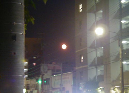 ●ムーンゴッタ・2011年8月_d0053294_23173425.jpg