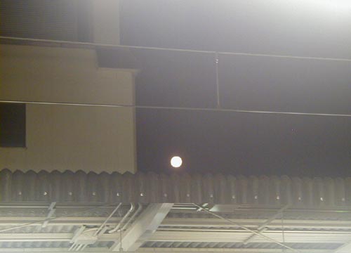 ●ムーンゴッタ・2011年8月_d0053294_23175565.jpg