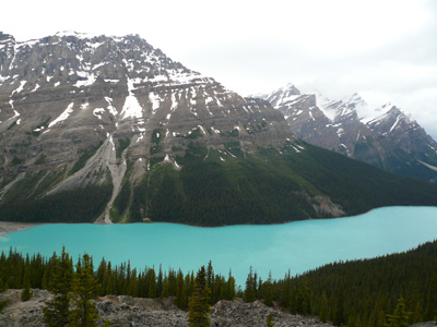 f0199394_10249.jpg