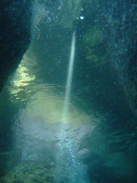 f0053895_21591164.jpg