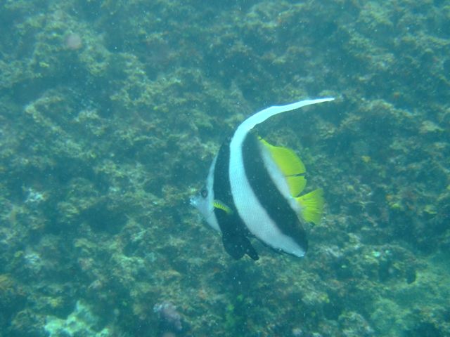 f0053895_2159196.jpg