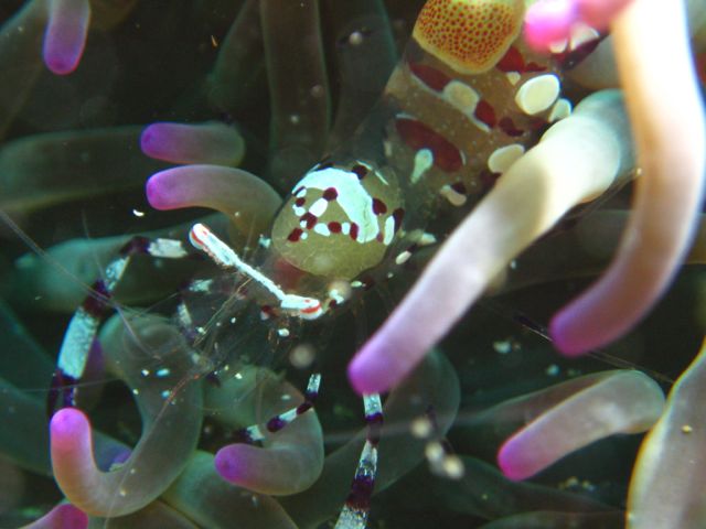 f0053895_22443716.jpg