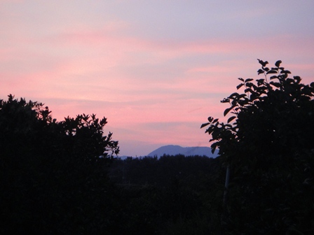e0143298_12492841.jpg