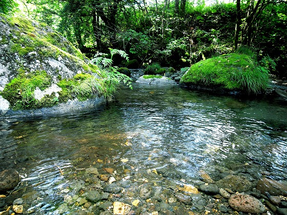 d0166900_8245420.jpg