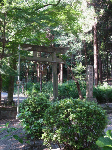 c0216405_17145095.gif