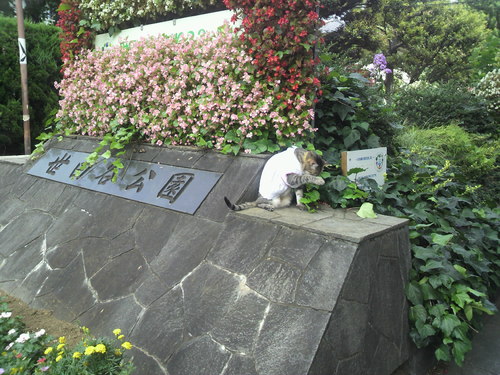 e0031605_1338145.jpg
