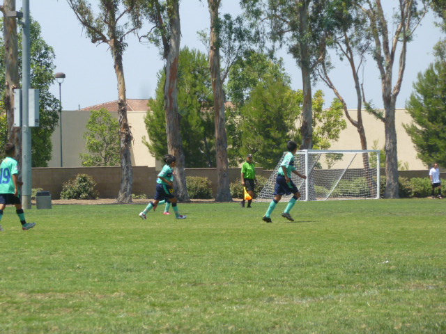 a0144811_8435636.jpg