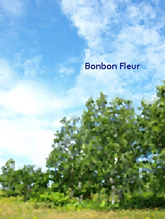c0176527_18523432.jpg