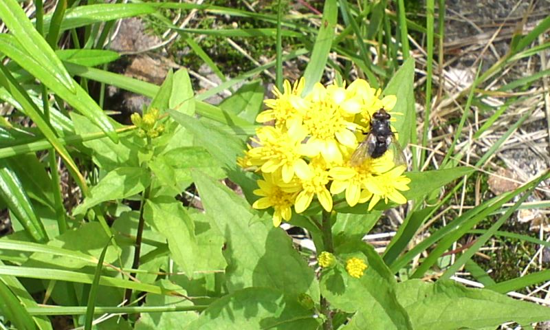 b0134529_0201234.jpg
