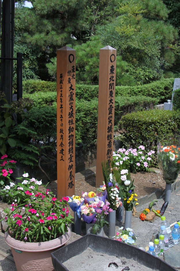 b0193632_1928945.jpg
