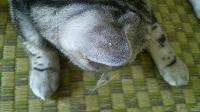 c0143333_14574259.jpg