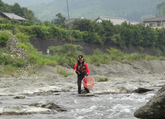 新しい「旧トライアン鮎75」を手に入れて…☆ : 鮎、山女魚、キジ