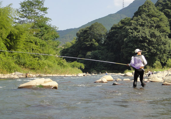 新しい「旧トライアン鮎75」を手に入れて…☆ : 鮎、山女魚、キジ