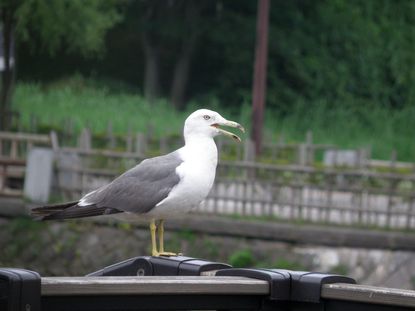 秋田市　佐竹の城下町のつづき_d0101042_15104468.jpg