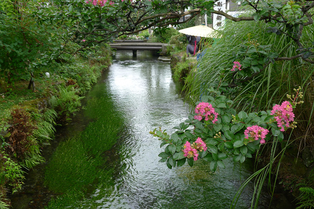 b0088444_21351999.jpg