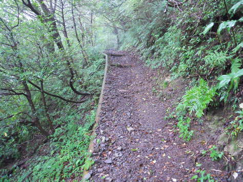 矢岳　高岩山　絹笠山　雲仙地獄単独縦走_a0206345_1543721.jpg