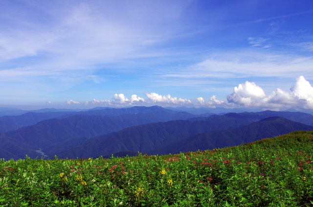 d0186245_7592569.jpg