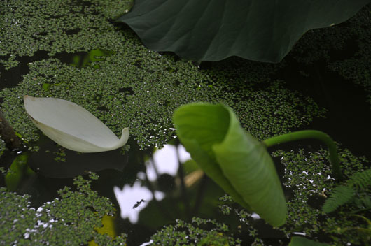 c0093046_16431975.jpg