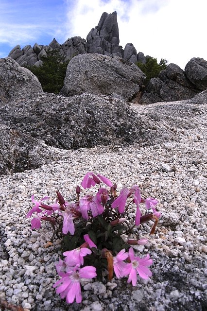 地蔵岳のオベリスク_b0122448_835447.jpg