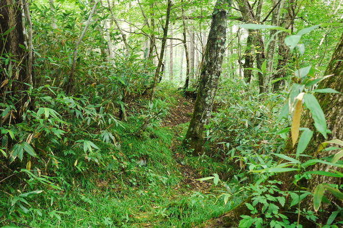 f0114954_15231648.jpg