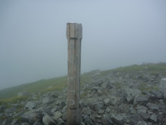 c0116856_16164369.jpg