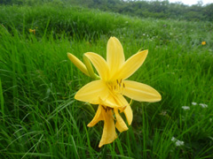 c0116856_16234826.jpg