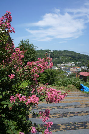 東マユミ個展「楽園」 北鎌倉 GALLERY NEST_f0117059_2127246.jpg