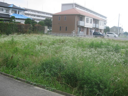 企画「大田原をもっと知ろう!」・・・その10、浅香⑧。_b0063162_040750.jpg