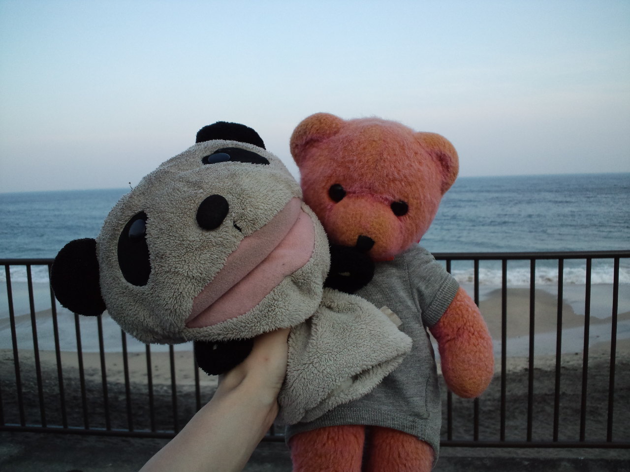 海で BBQ~_c0151965_2328544.jpg