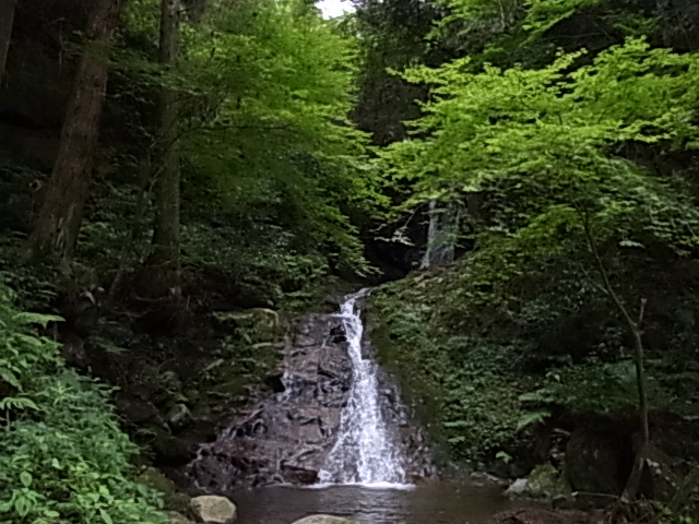 涼風を求めて、雷山千如寺大悲王院へ_e0208965_620111.jpg