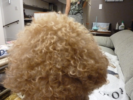2011.8.15 いじられっこ 茶々_a0083571_8363150.jpg