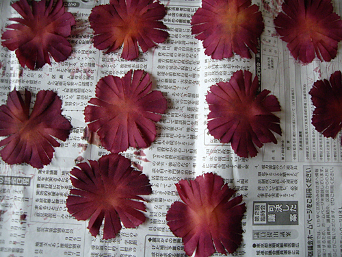 a0043772_03181.jpg