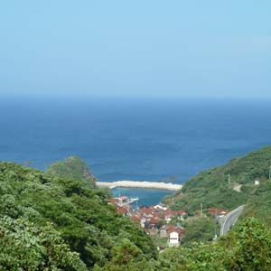 大根島石と島根半島 : ハチログ 大根島石と島根半島 : ハチログ