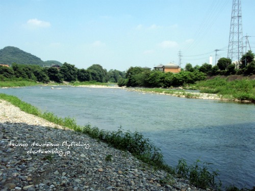 上州鏑川道場に入門 いつもいつでもフライフィッシング 上州鏑川道場に入門 いつもいつでもフライフィッシング