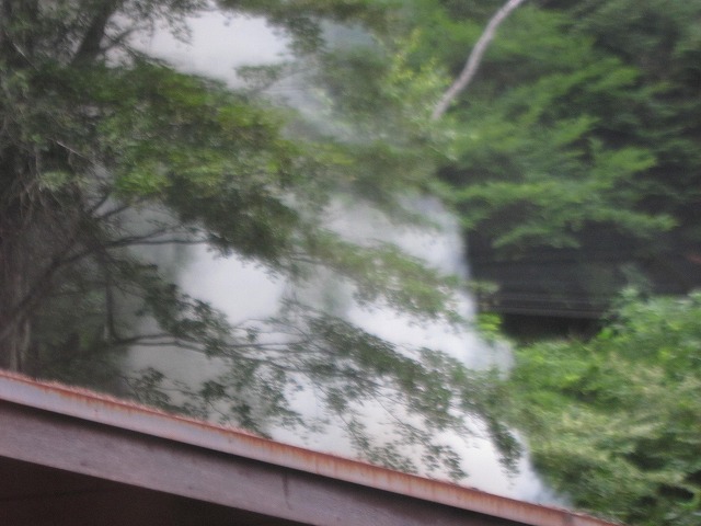 迎え火?_d0133485_8544047.jpg
