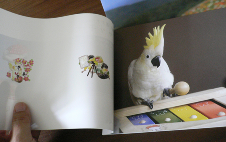 特別販売 ジャッキー写真集とクリアファイル_d0123492_17492368.jpg