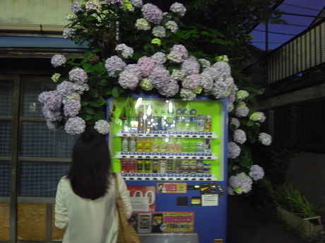 f0084795_026467.jpg