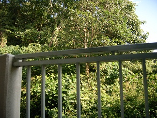 d0156797_153676.jpg